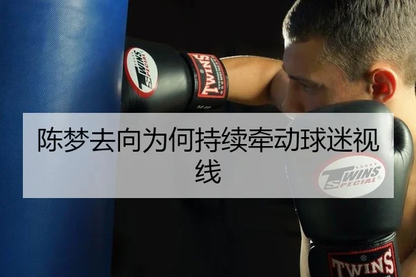 陈梦去向为何持续牵动球迷视线